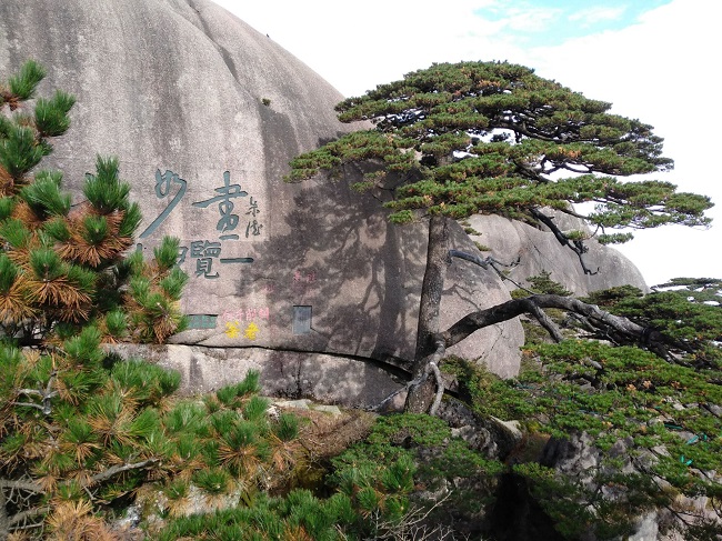 日登黃山，夜醉溫泉！